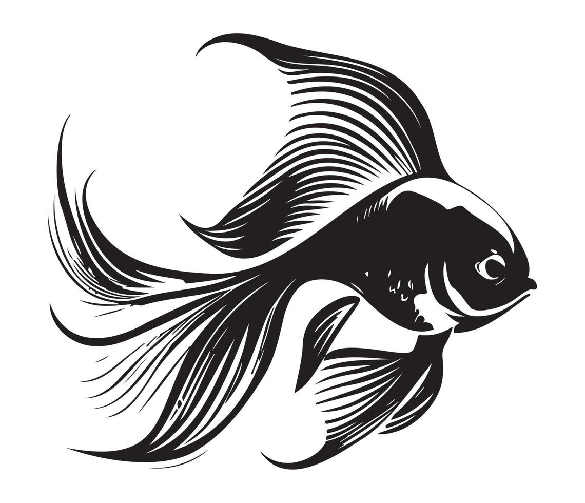 goldfish, golden fish Animal fish illustration black and white side view outline image vector