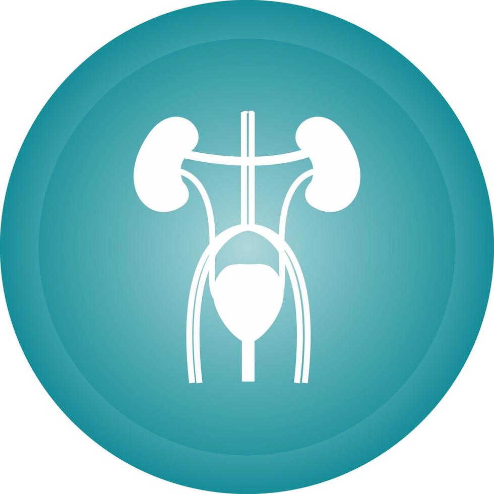 Excretory Vector Icon