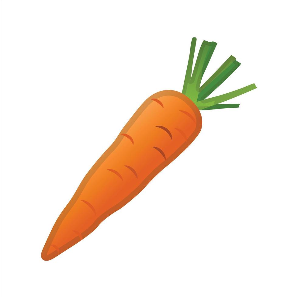 Zanahoria ilustración vector