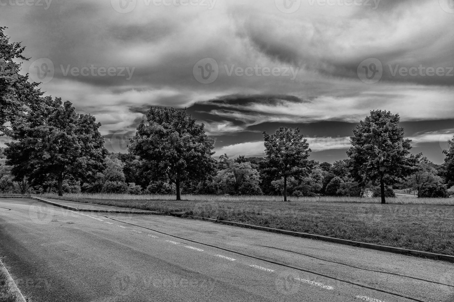 summer landscape with green trees, meadow, fields and sky with white clouds and concrete road photo