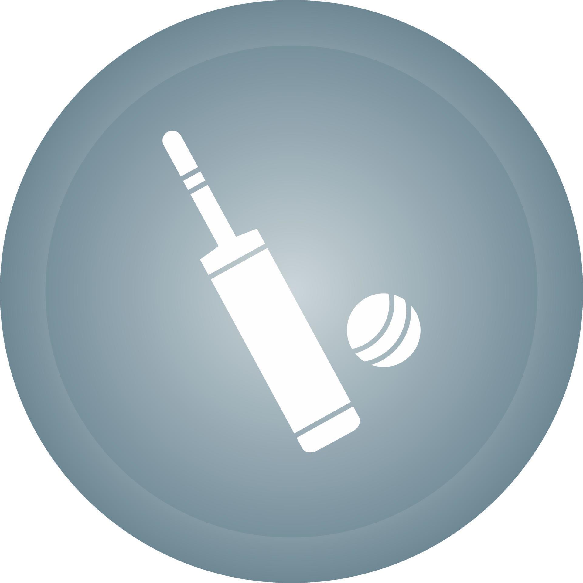 Cricket Bat and Ball Vector Icon 22668943 Vector Art at Vecteezy