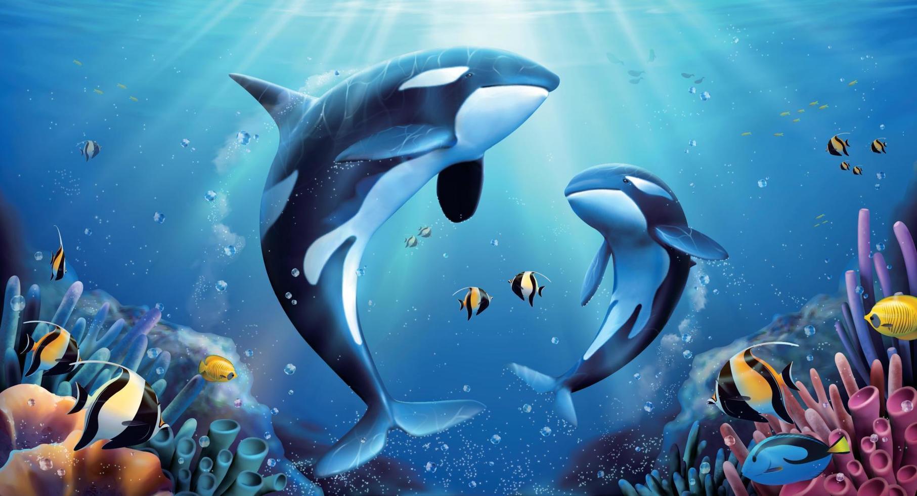 Adorable killer whales family looking up towards sea surface with beautiful coral reefs and tropical fish around them, marine life 3d illustration vector