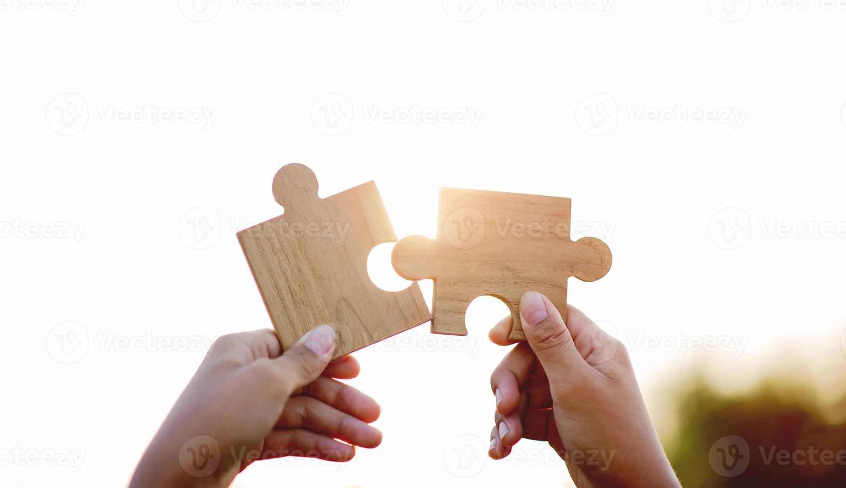 jigsaw puzzles put together jigsaw puzzles puzzle pieces join forces Unity and good teamwork photo