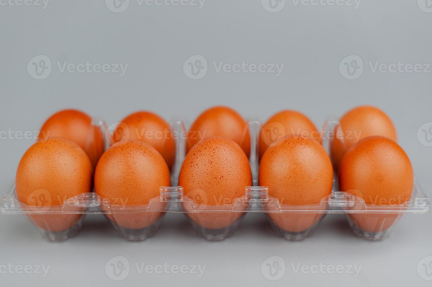 Chicken eggs in a panel. Clean chicken eggs on a gray background. photo