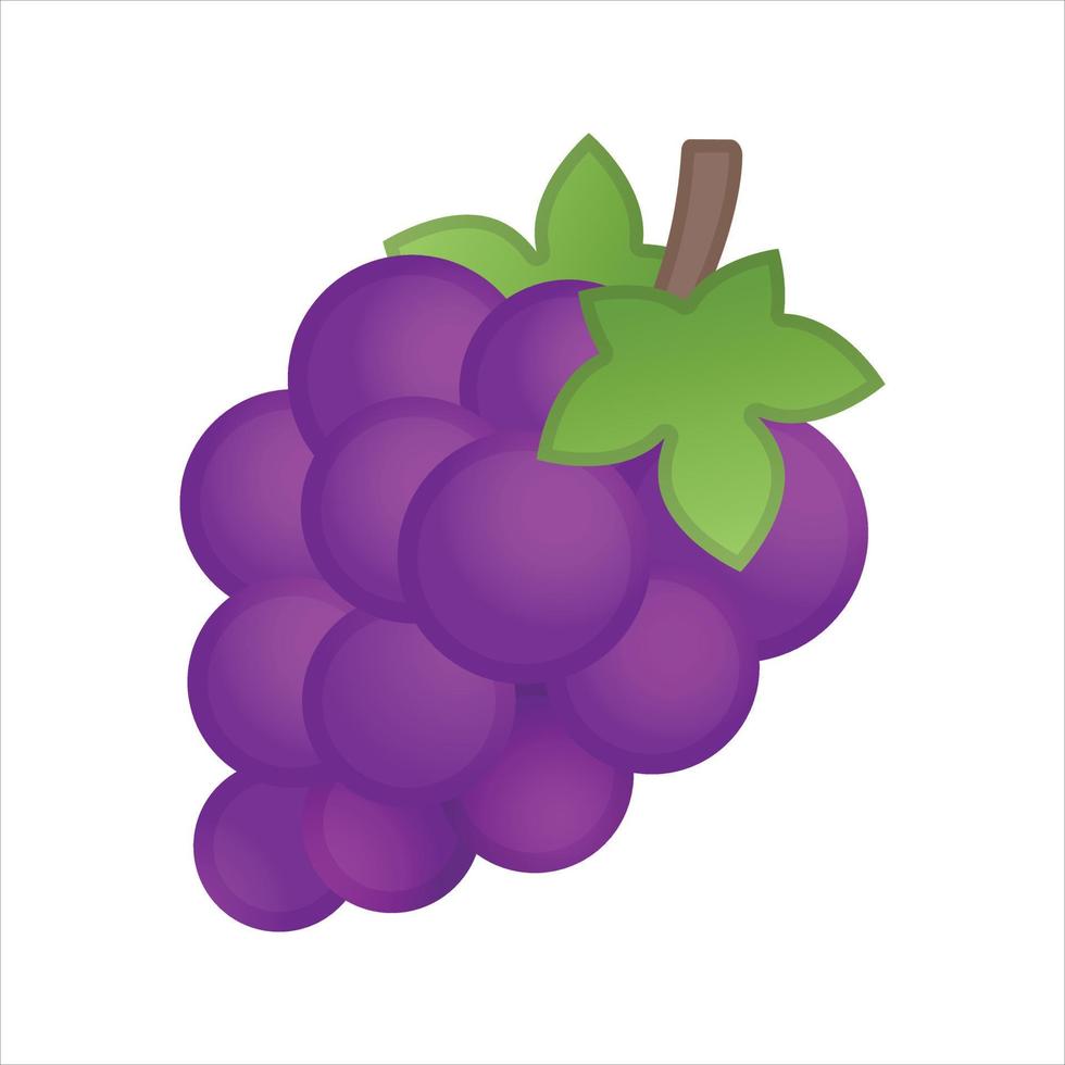 Grapes Illustration Vector