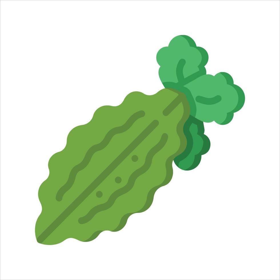 Bitter Groud Illustration Vector