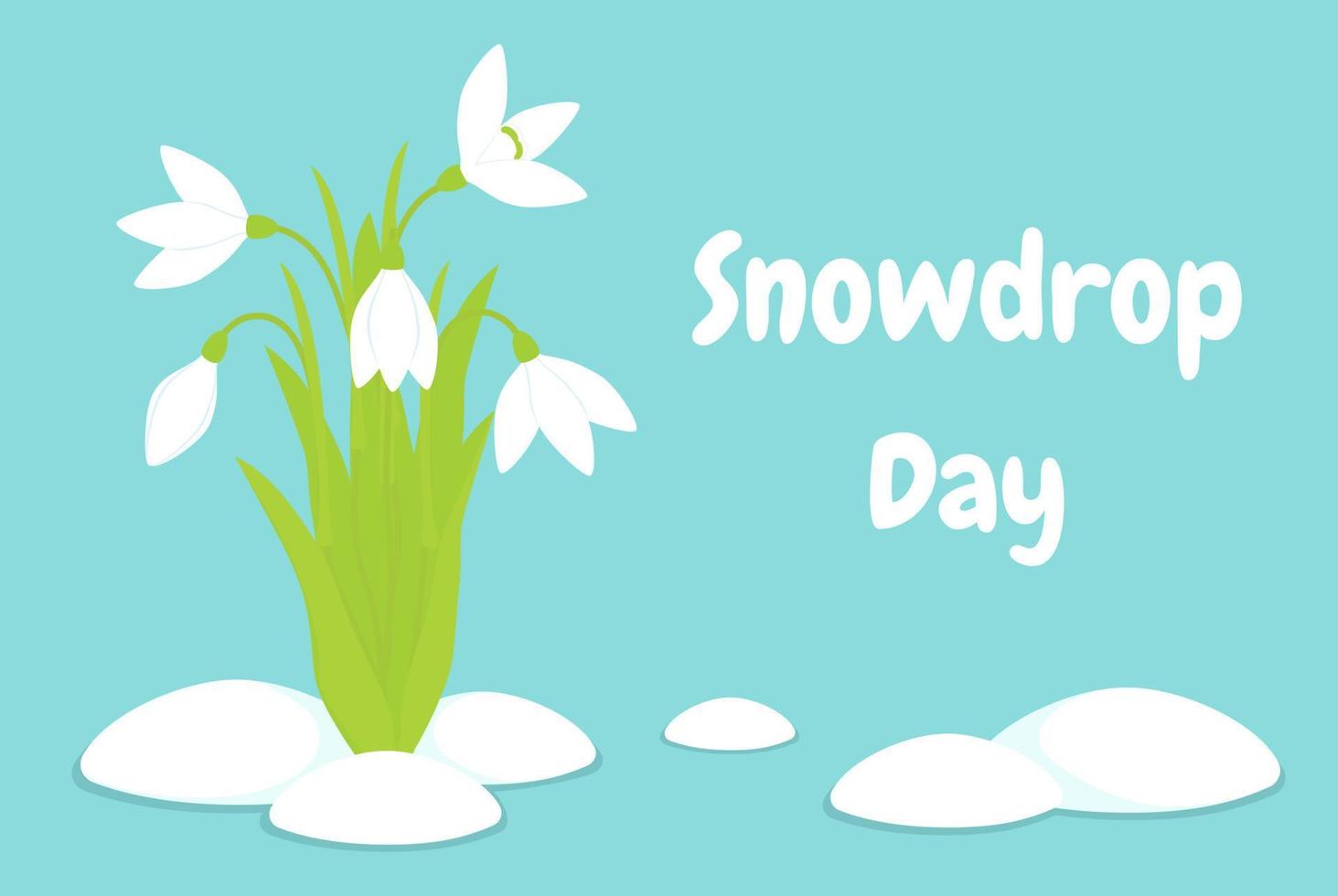 Vector illustration. Postcard to the day of the snowdrop.