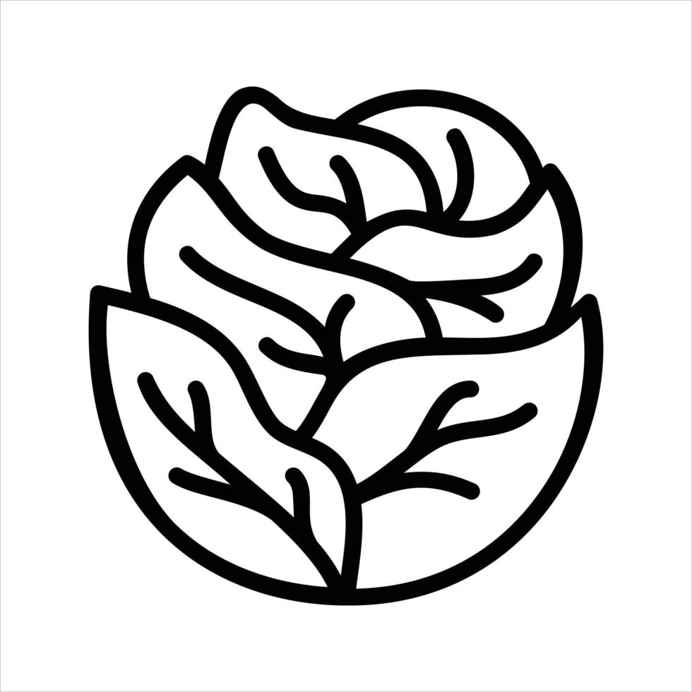 Vegetable Illustration Vector