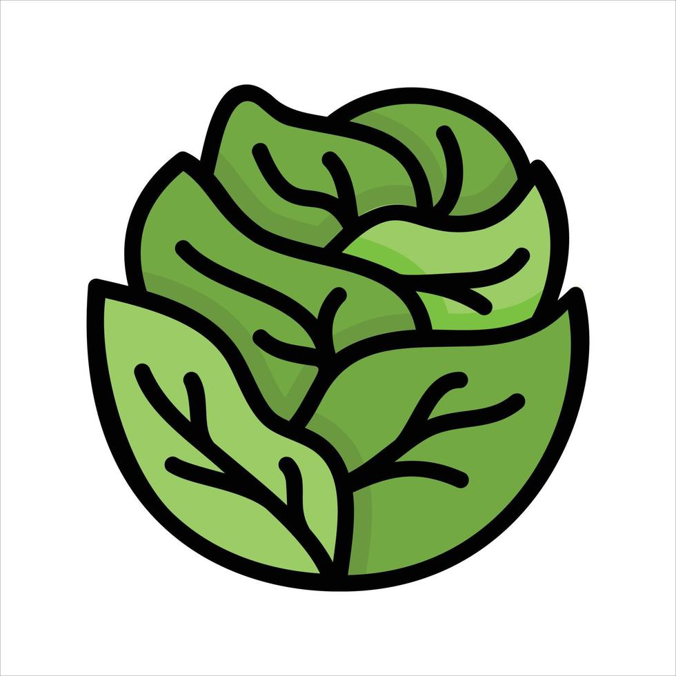 vegetal ilustración vector