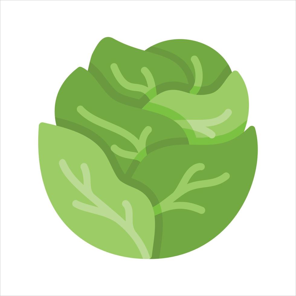 vegetal ilustración vector