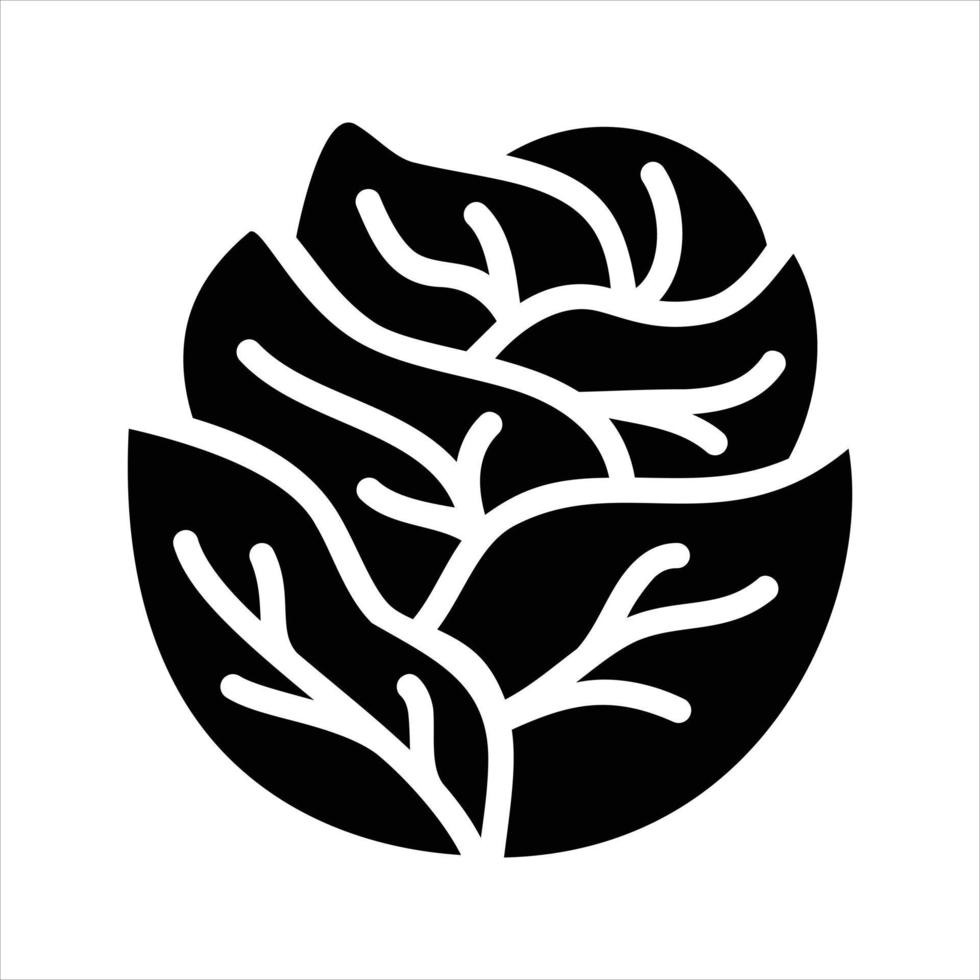 Vegetable Illustration Vector