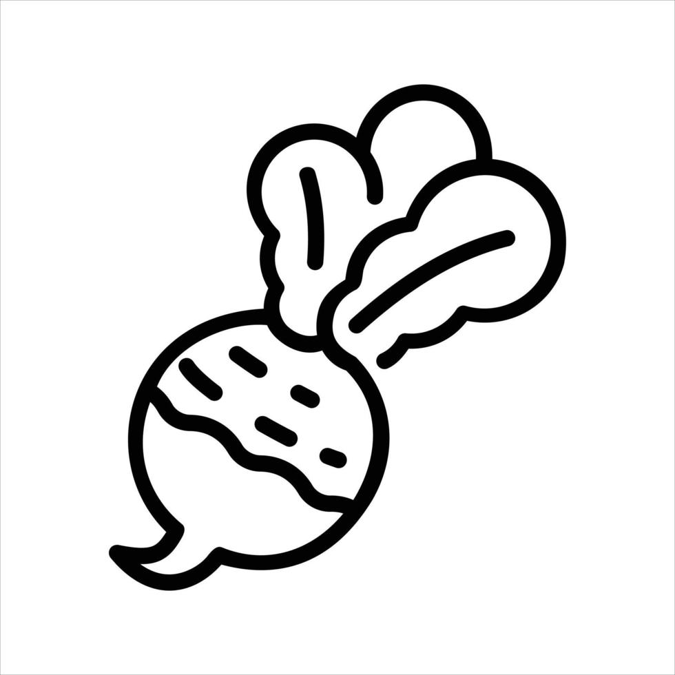 Turnip Illustration Vector