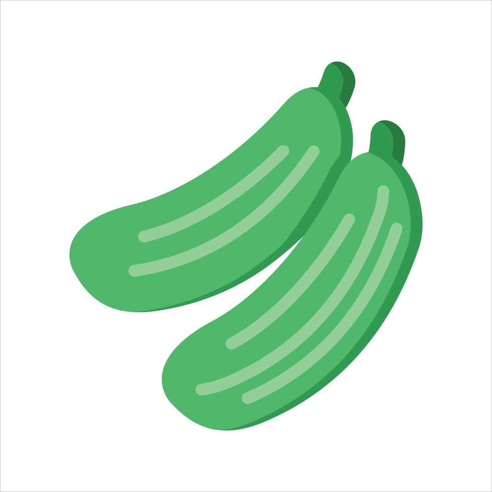 Cucumber Illustration Vector