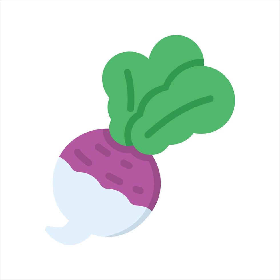 Vegetable Illustration Vector