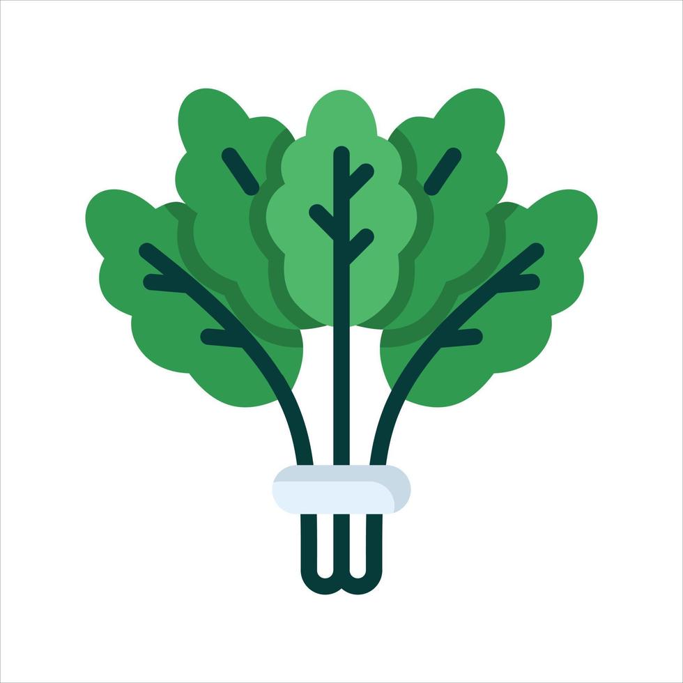 Vegetable Illustration Vector