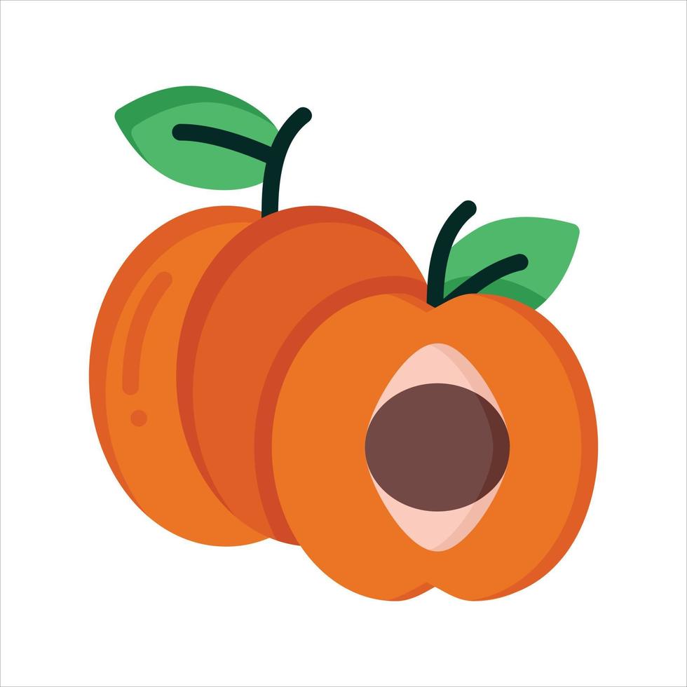 Fruit Illustration Vector