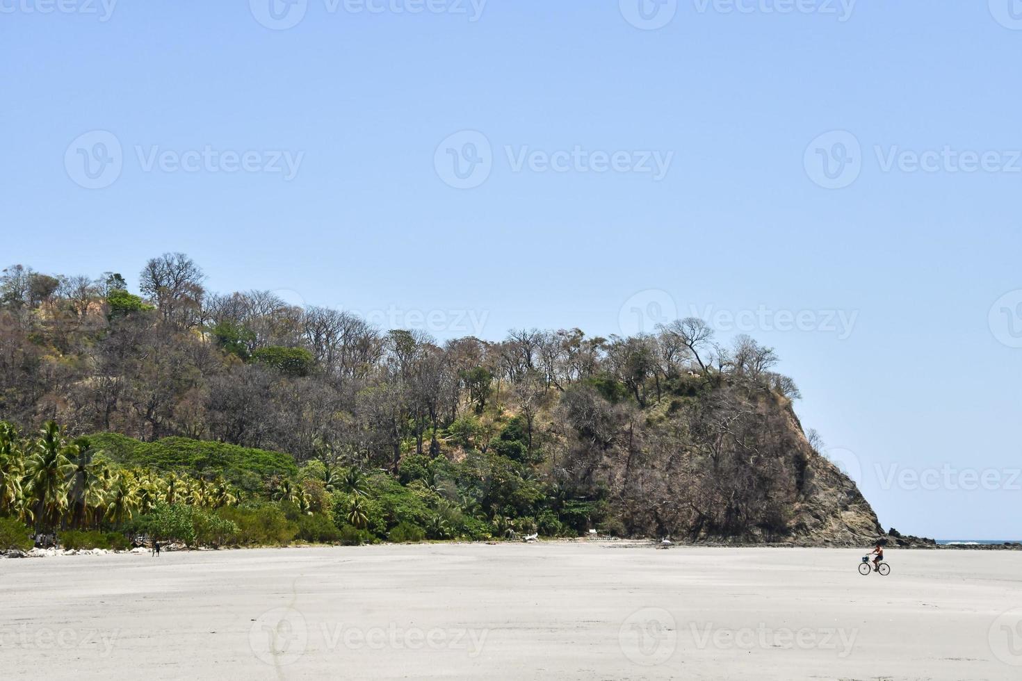 Scenic coastal view photo