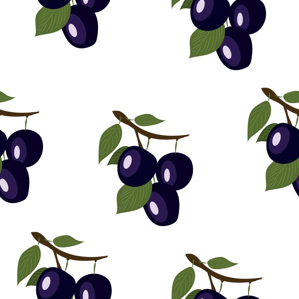 High quality vector illustration. Pattern with plums. Plums on a branch with leaves.