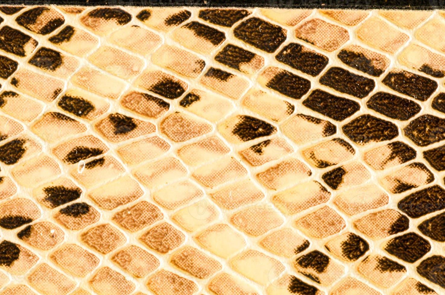 Snake skin texture photo