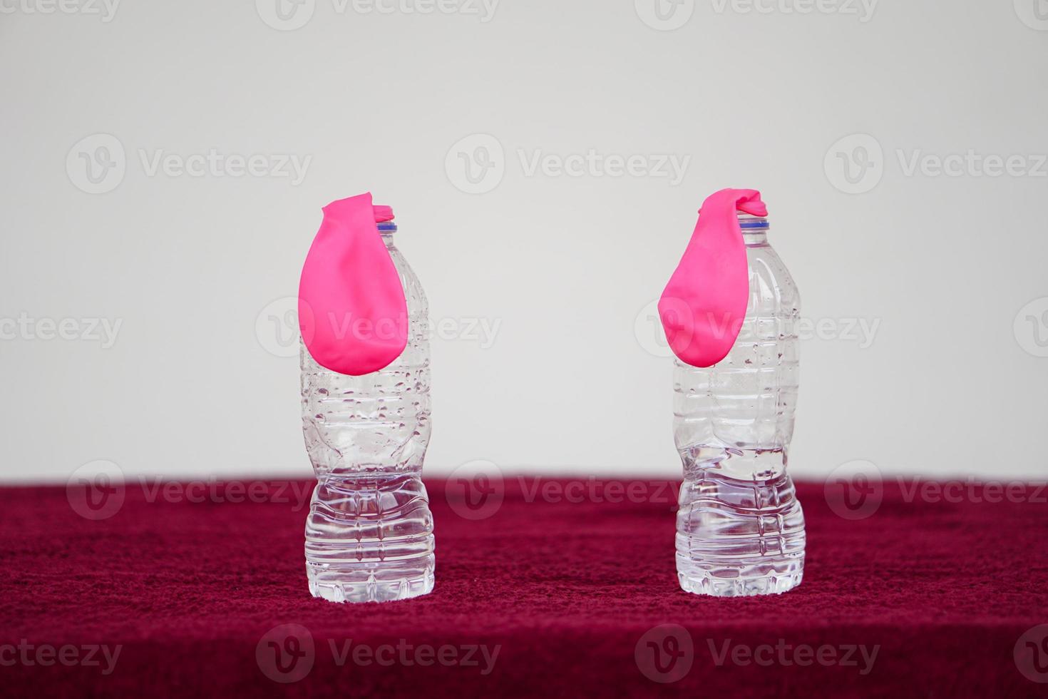 Pink flat balloons on top of transparent test bottles. Concept, science experiment about reaction of chemical substance, vinegar and baking soda that cause balloon inflat.  First  step of experiment photo