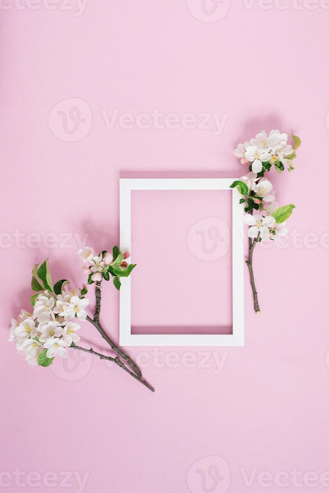 White blank frame with copy space lies on a pink background surrounded by blossoming branches of an apple tree. Spring postcard concept. Top view, flat lay photo
