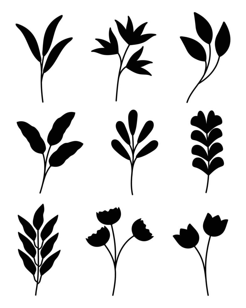 Set of hand-drawn flower, leaf, plants and flowers elements. Isolated branches on a white background. vector