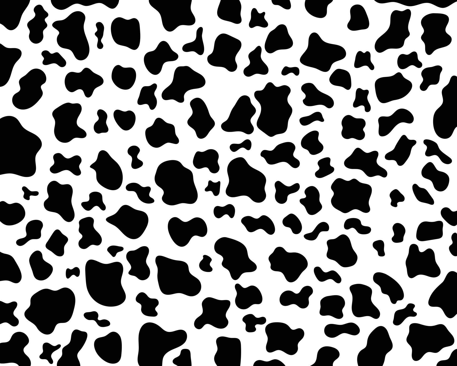 Vector black cow print pattern animal seamless. Cow skin abstract for