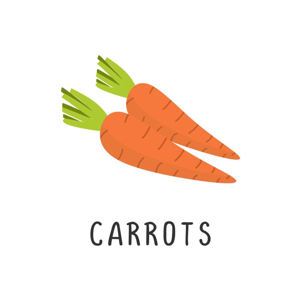 Carrots Vector illustration, flat design cartoon of crunchy carrot