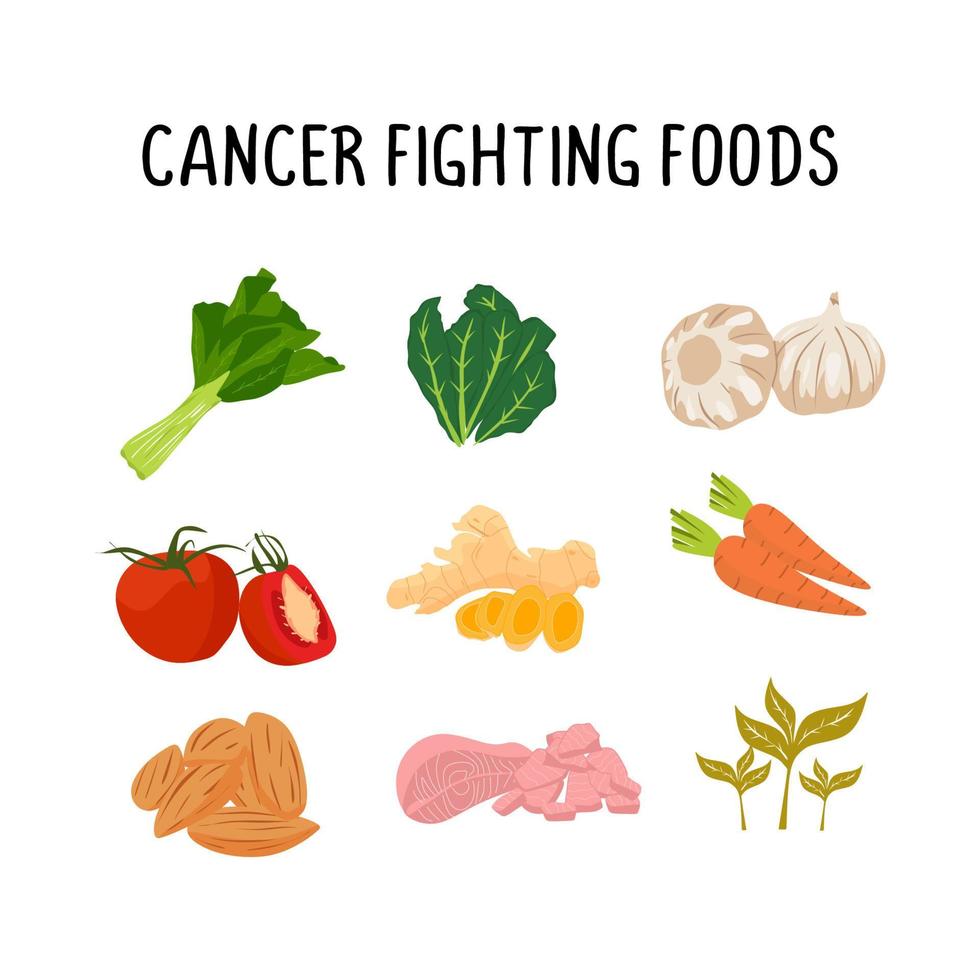 cáncer luchando alimentos, sano Fruta y vegetales comida vector