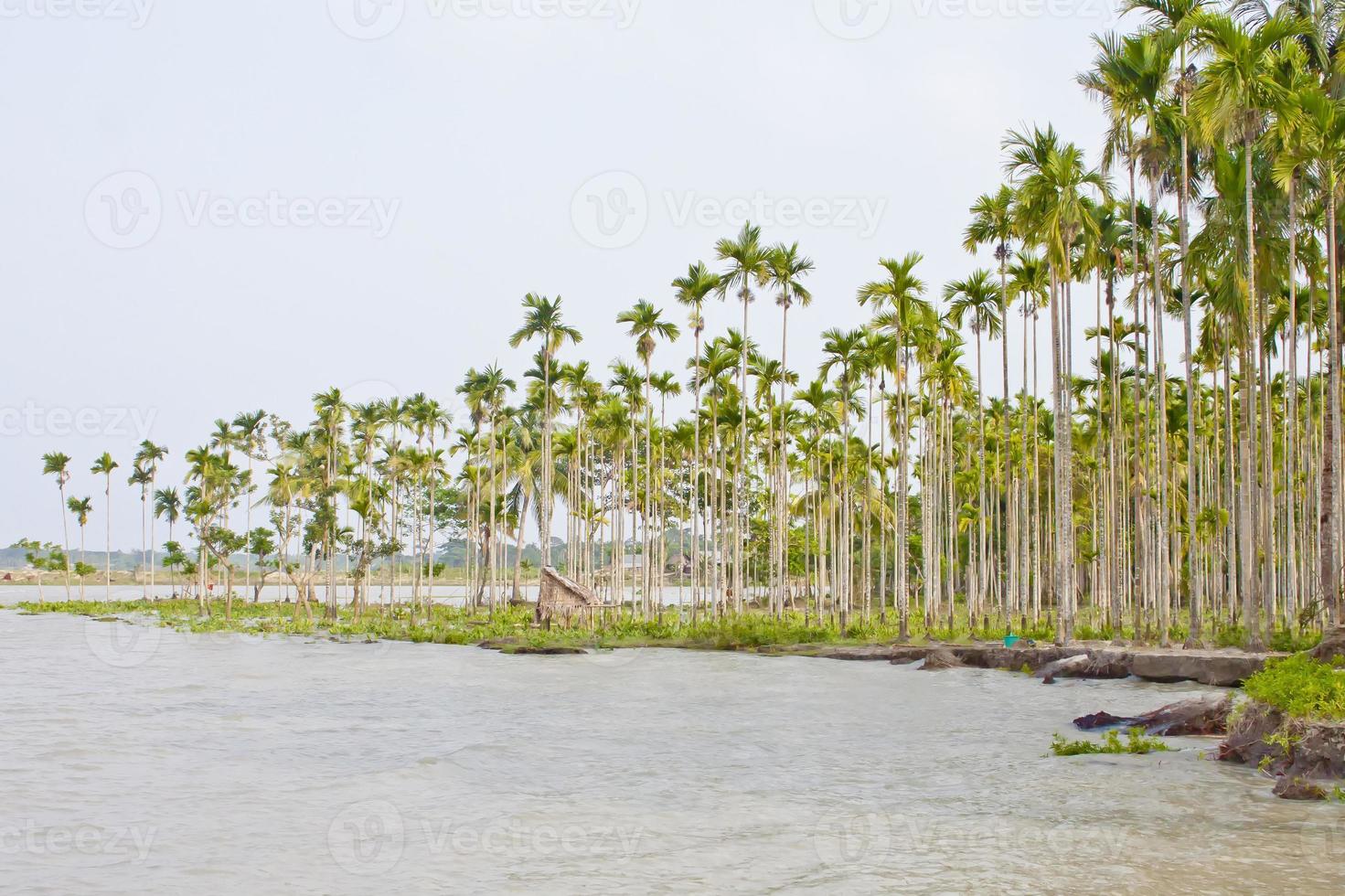 río erosión guión de costero cinturón bahía de Bengala. foto