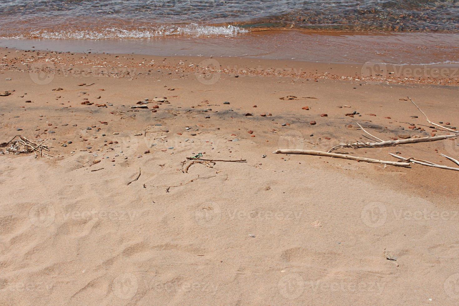 Soft sand on beach with branches and pebbles near water of sea. Serenity, calm relaxing sunlight, summer mood, ecology, pollution. Copy space photo