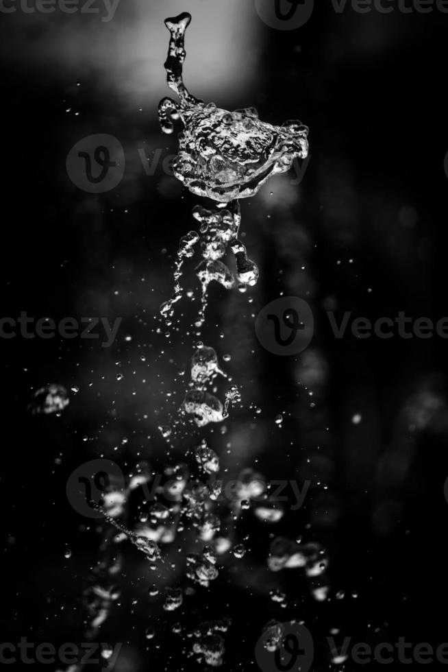 Water liquid splashing on isolated black background. photo