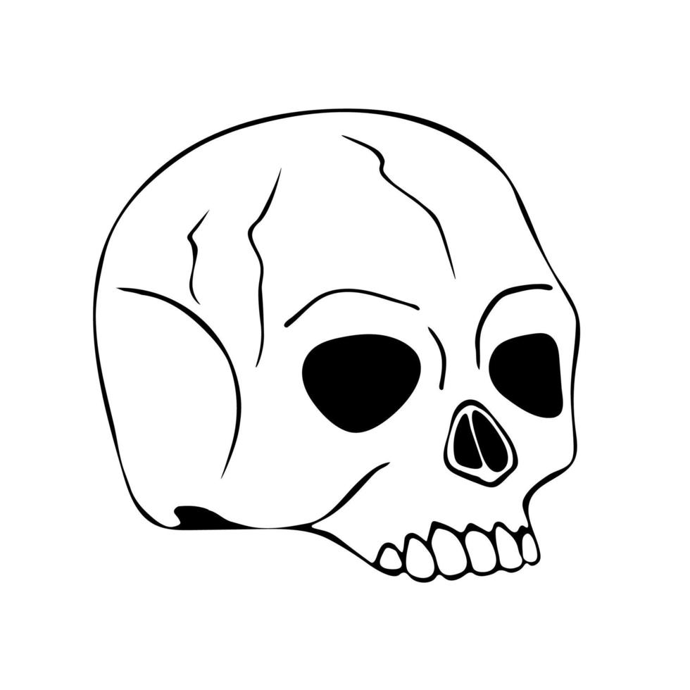 Vector illustration of a hand drawn human skull on a white background.