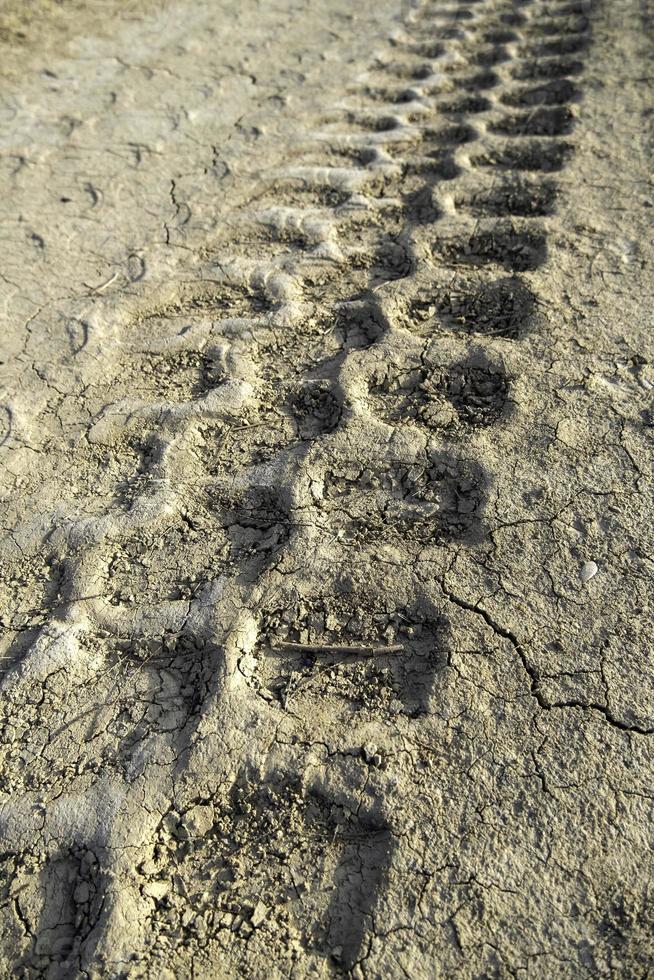 Wheel marks in the mud photo