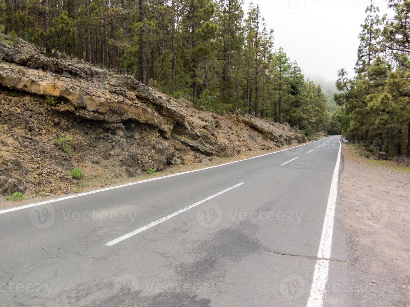 Road in the countryside photo