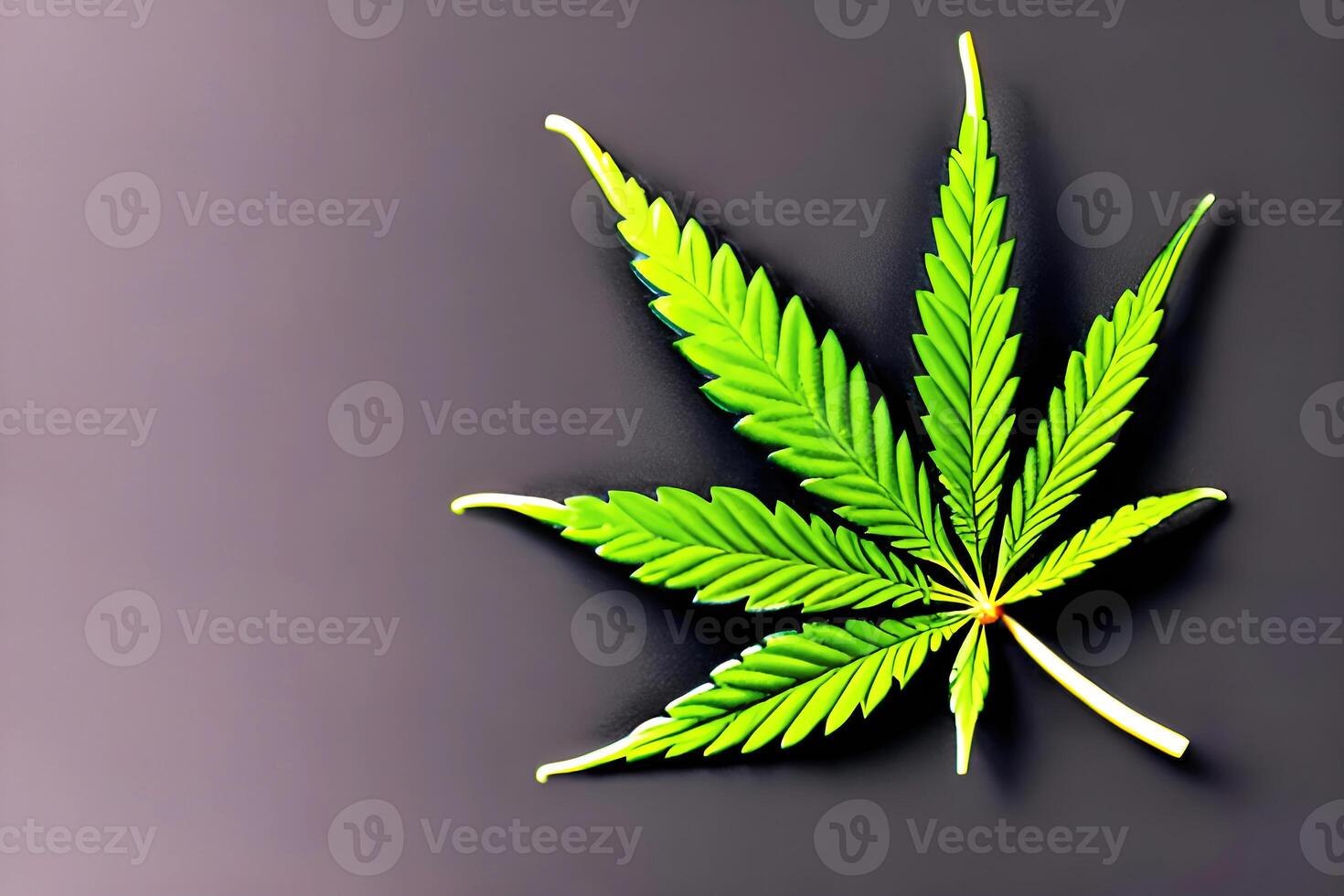 marijuana leaf, aesthetic photo