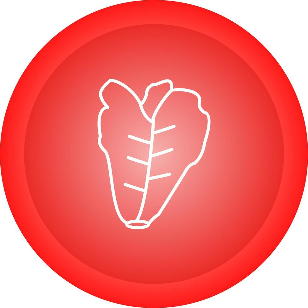 Lettuce Vector Icon