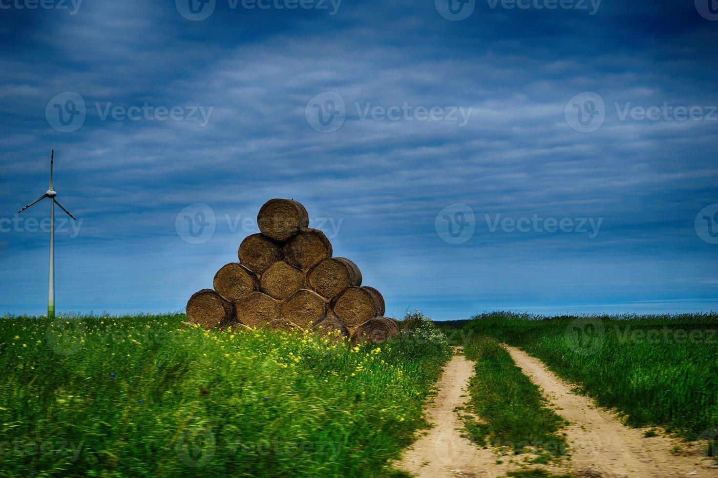picturesque spring landscape with blue sky and green fields photo