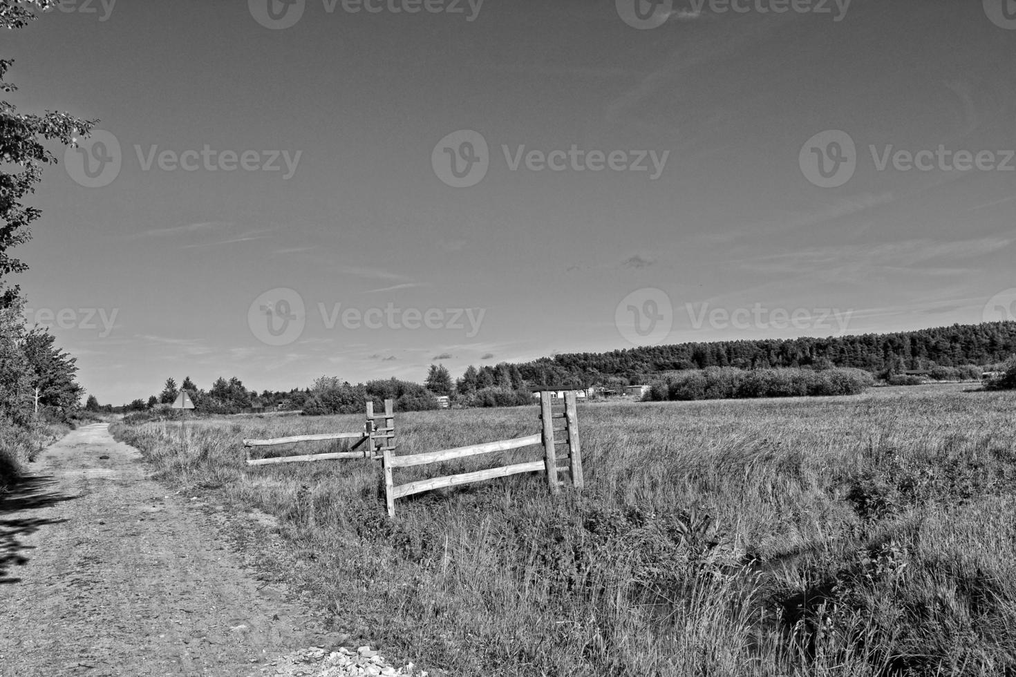 picturesque spring landscape with blue sky and green fields photo