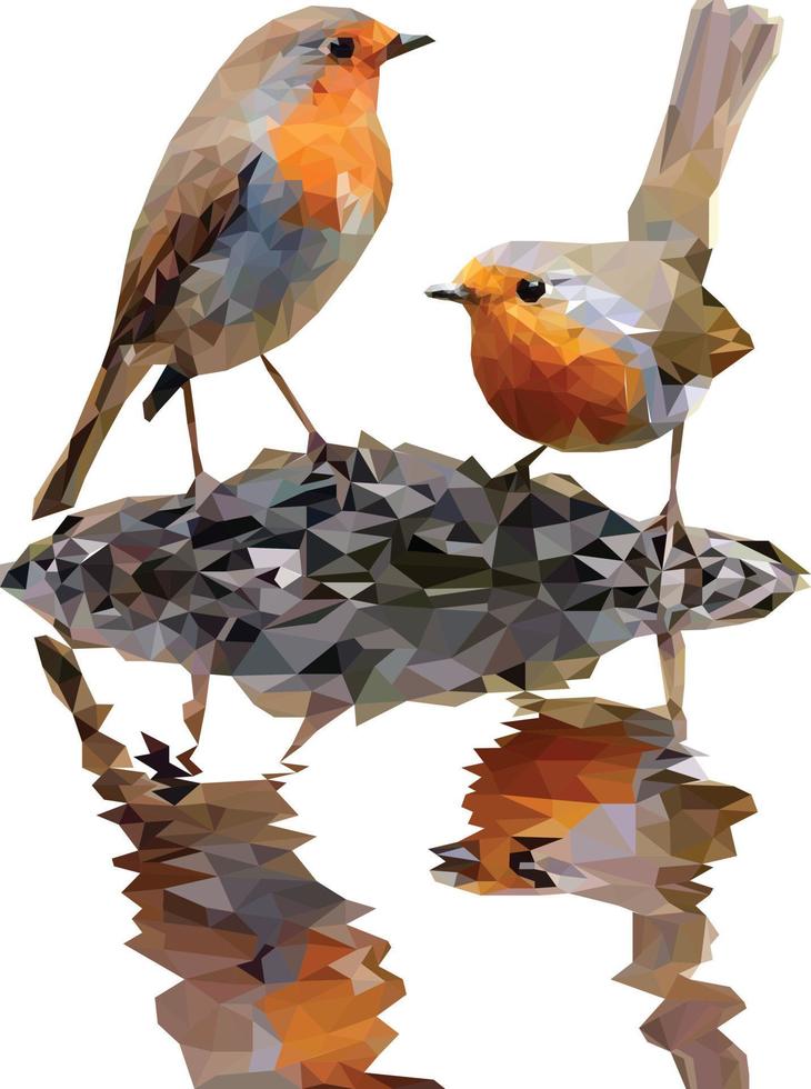 Birds Couple low poly on Branch Vector