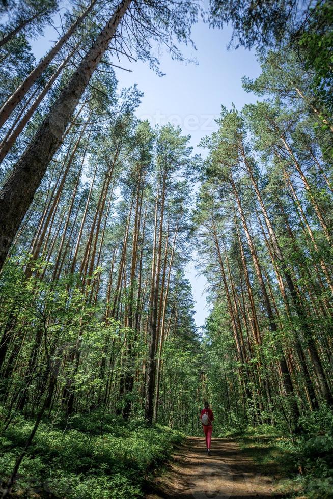 Small young girl figure in red cloth walking along path deep into majestic forest. Grand scale of nature and small human. Unity with nature, unplugged, hiking, resting on nature. Vertical orientation. photo