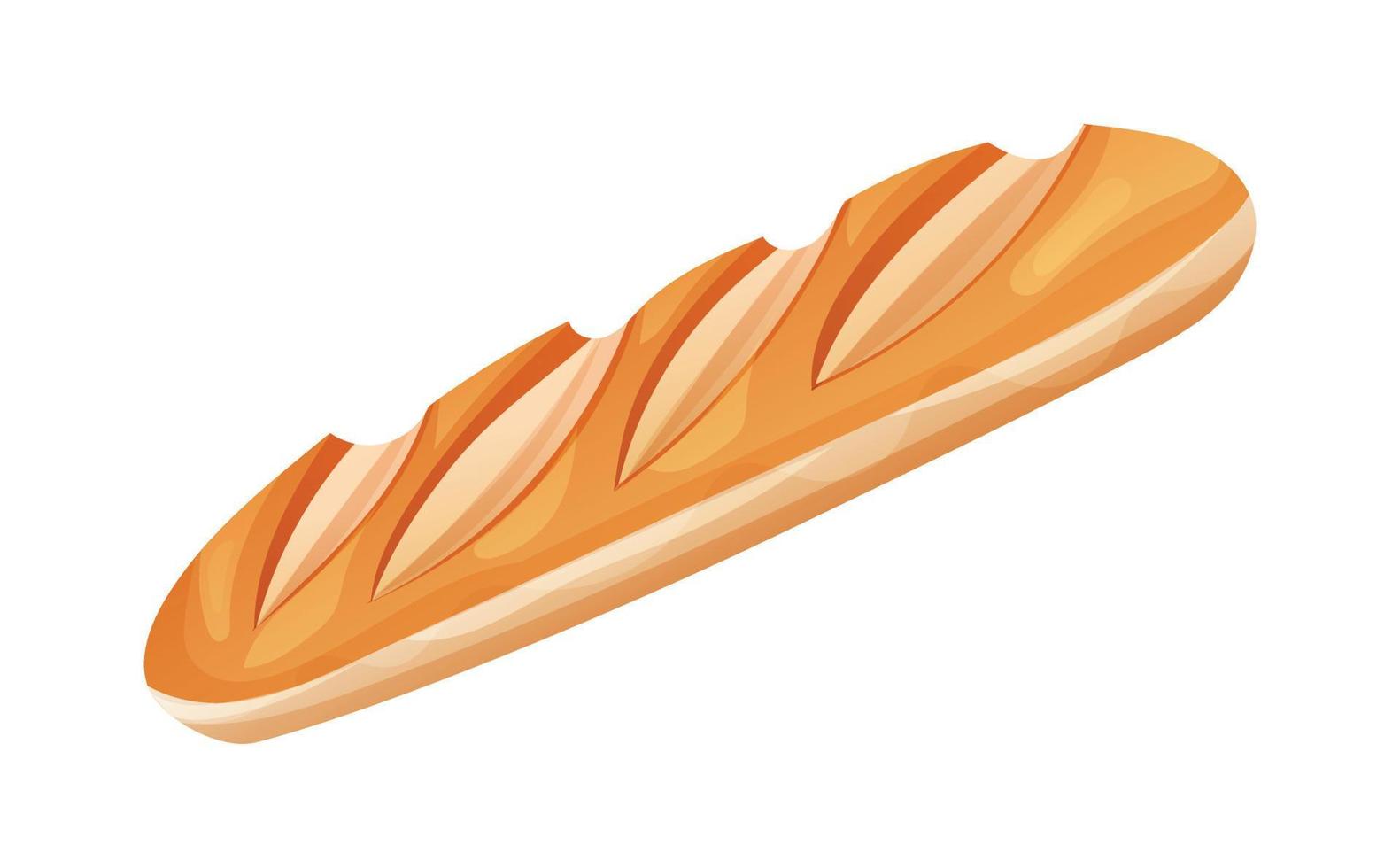 Baguette vector illustration. Bread isolated on white background