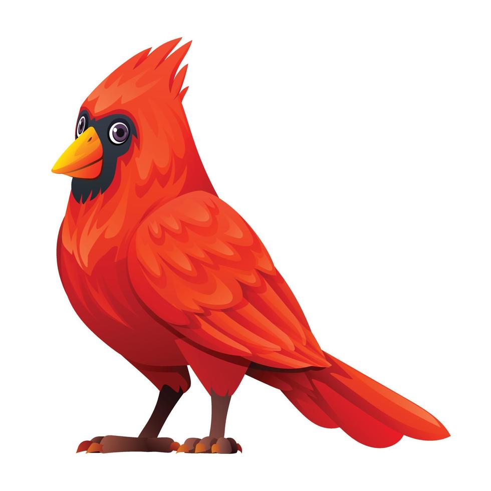 Cute cardinal bird cartoon illustration isolated on white background vector