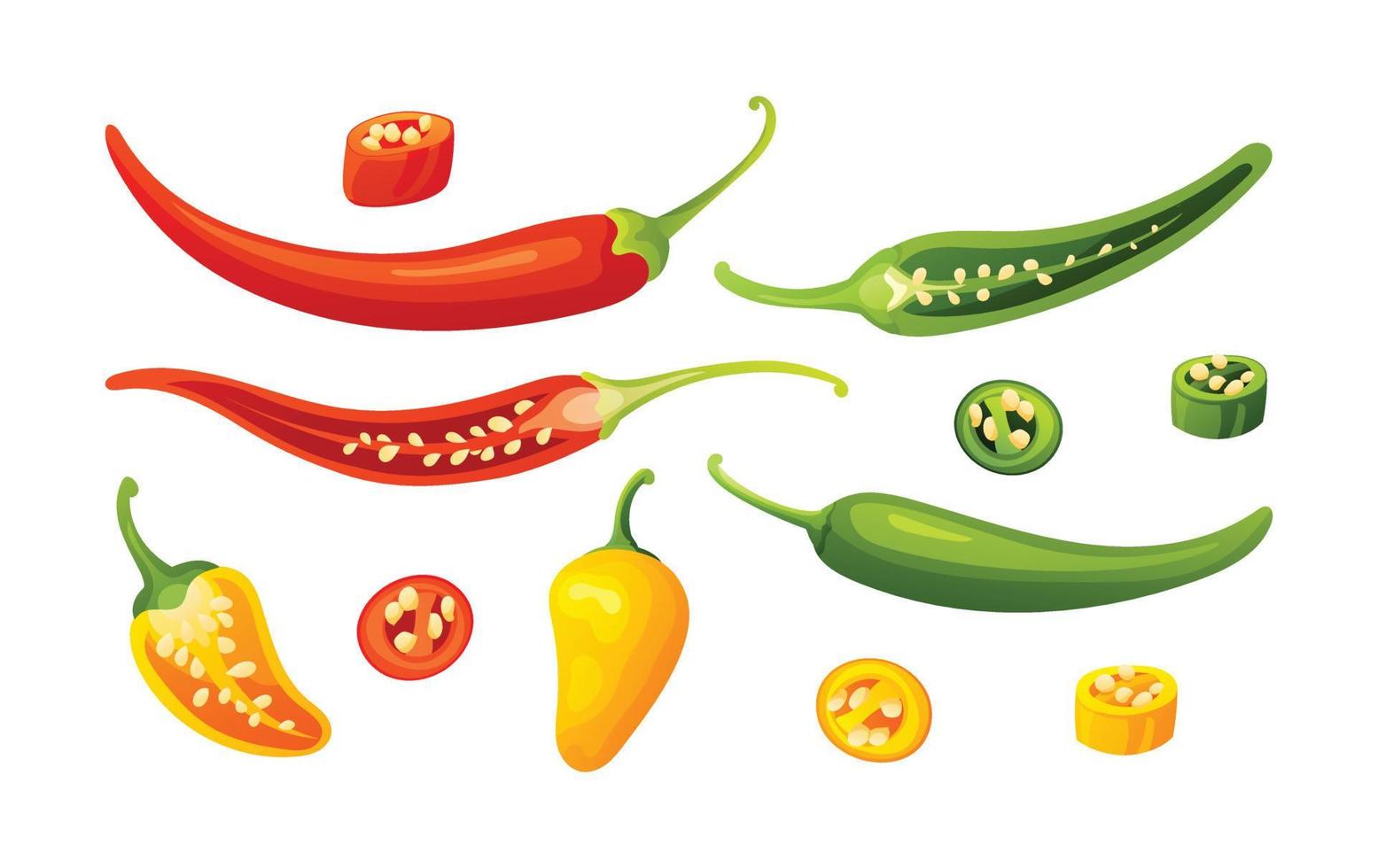 Set of different chilies whole, half and cut slices illustration isolated on white background vector