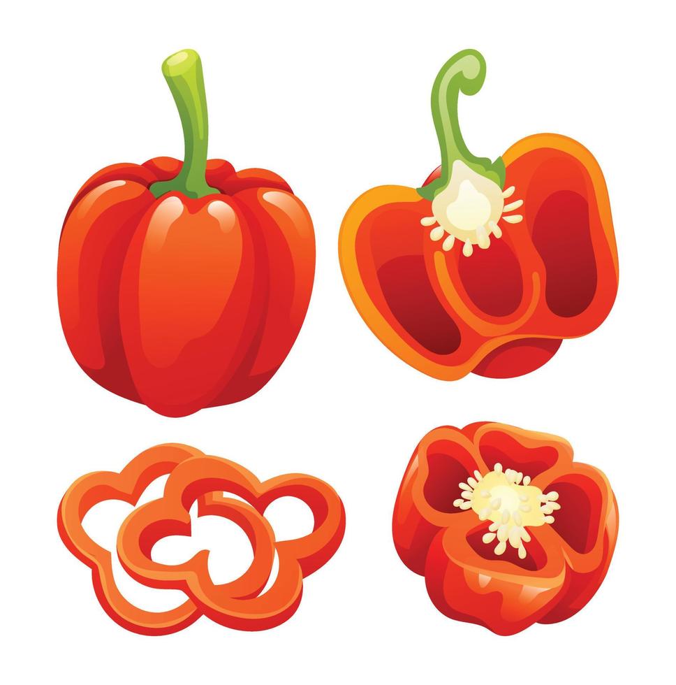 Set of red bell pepper whole, half and cut slice illustration isolated on white background vector