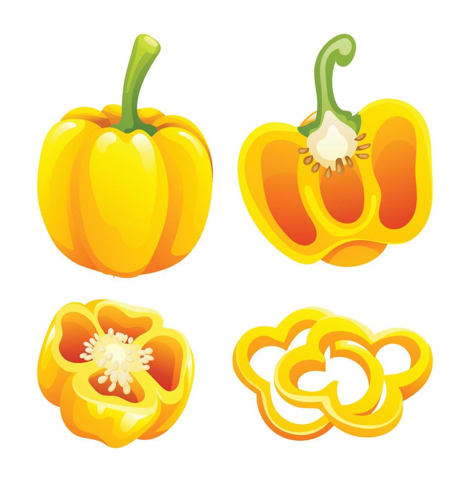 Set of yellow bell pepper whole, half and cut slice illustration isolated on white background vector