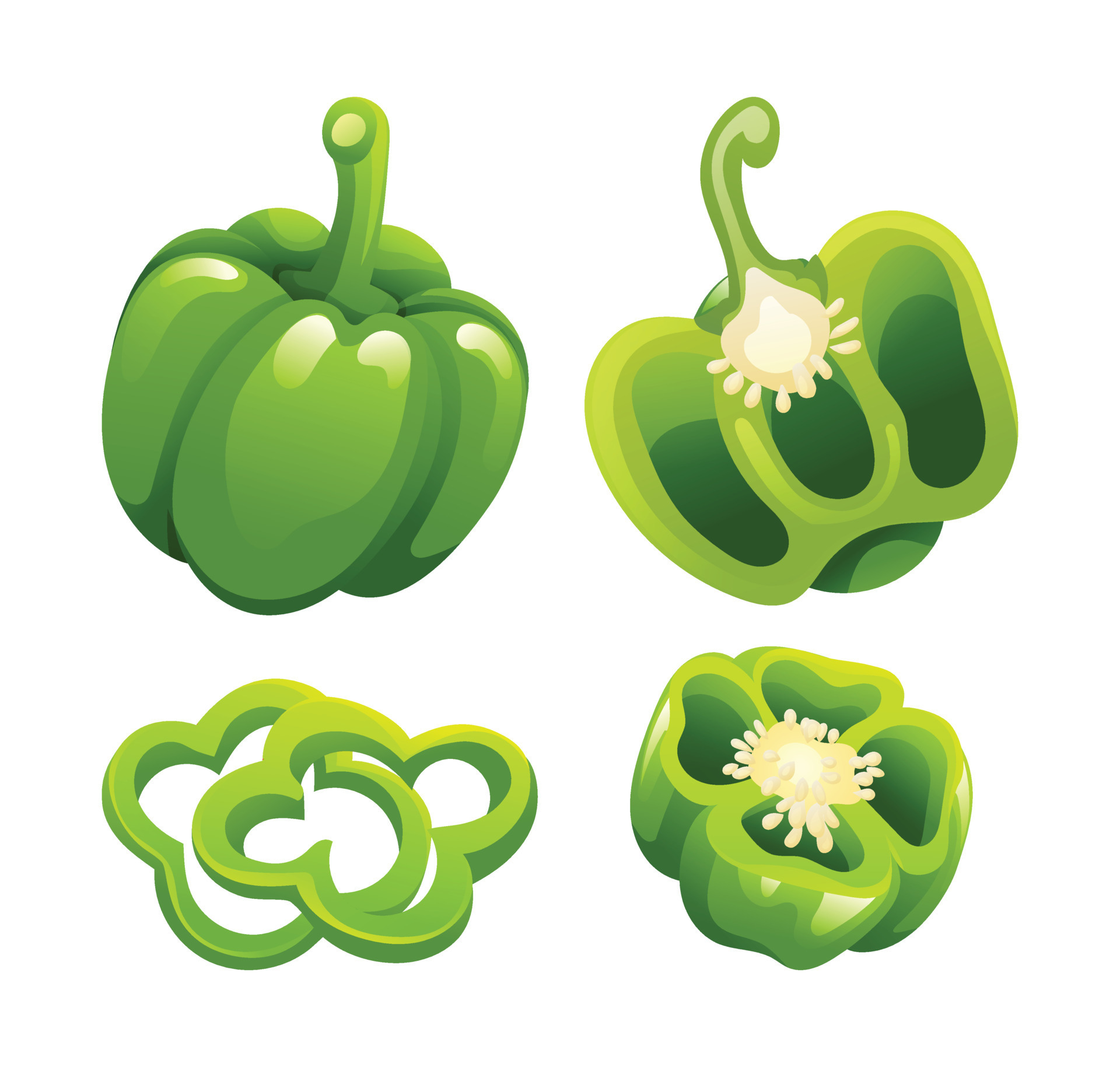Set of green bell pepper whole, half and cut slice illustration