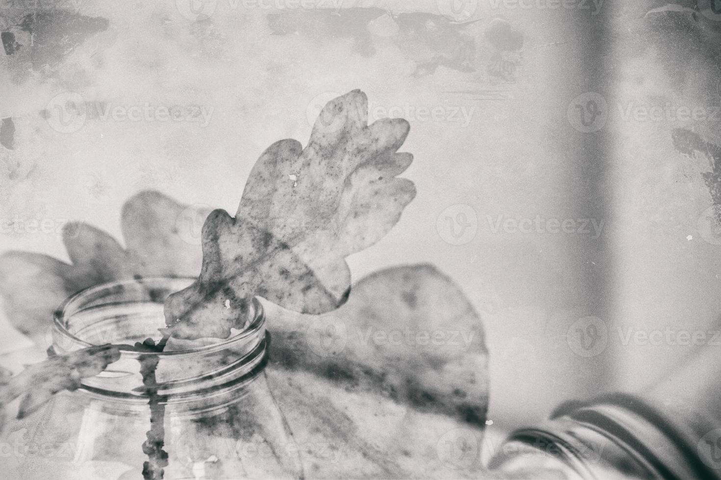 autumn oak leaf in a glass dish standing on a white table photo