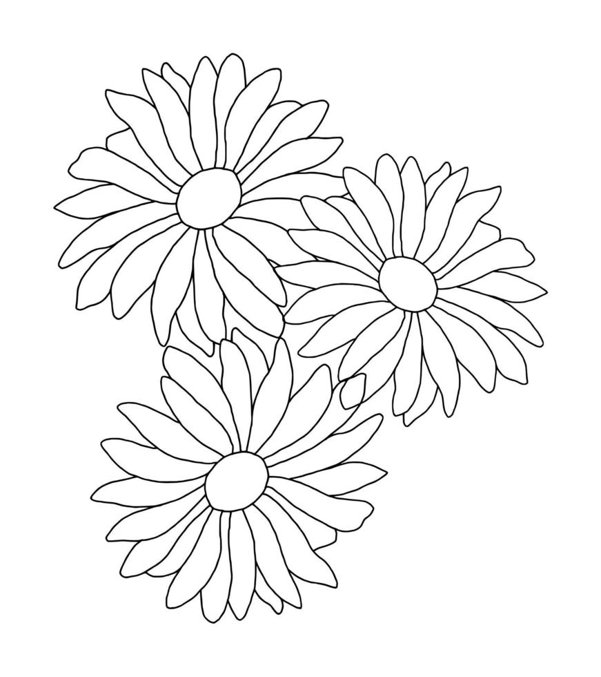 outline flower of daisy on white background vector