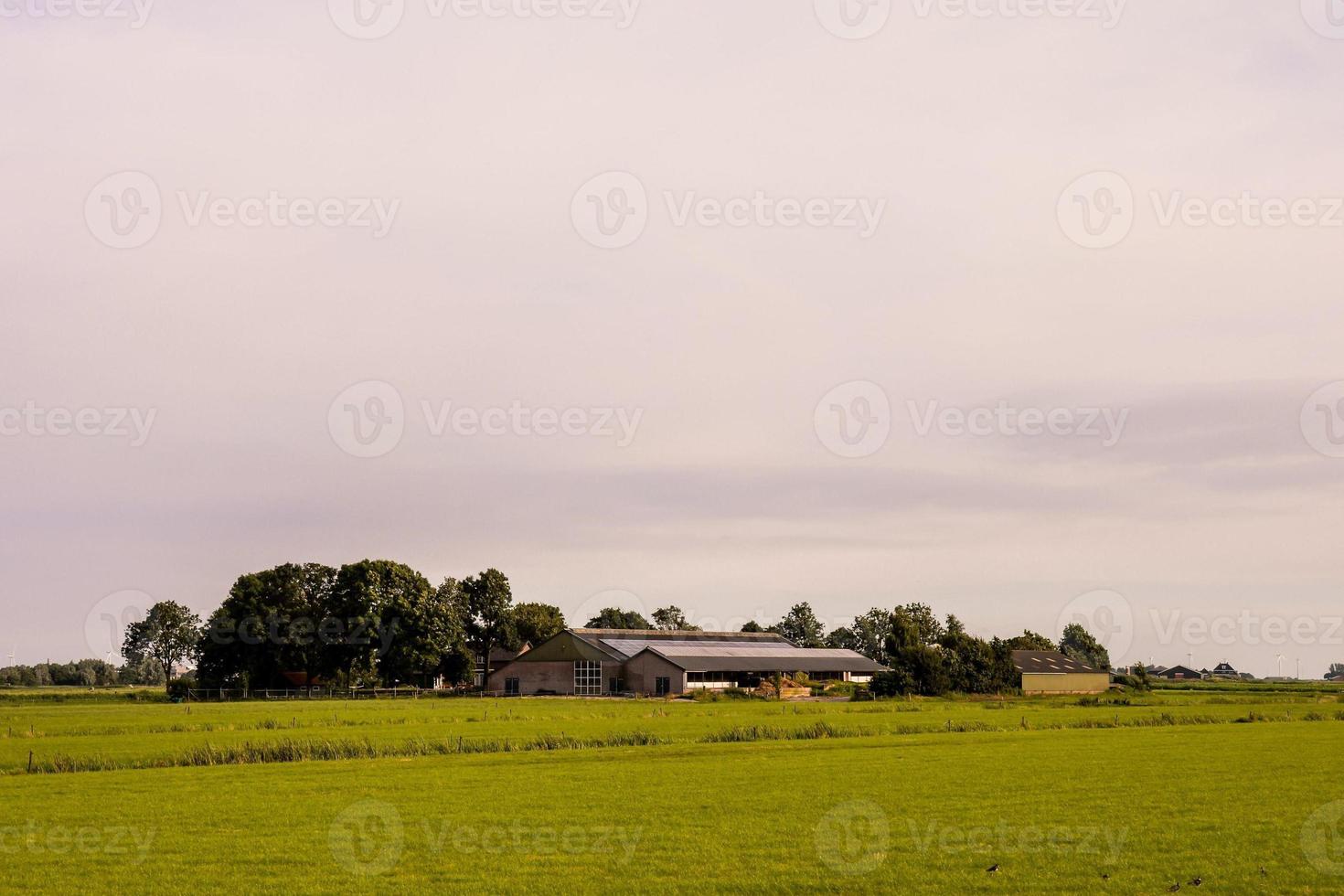 Scenic rural landscape photo